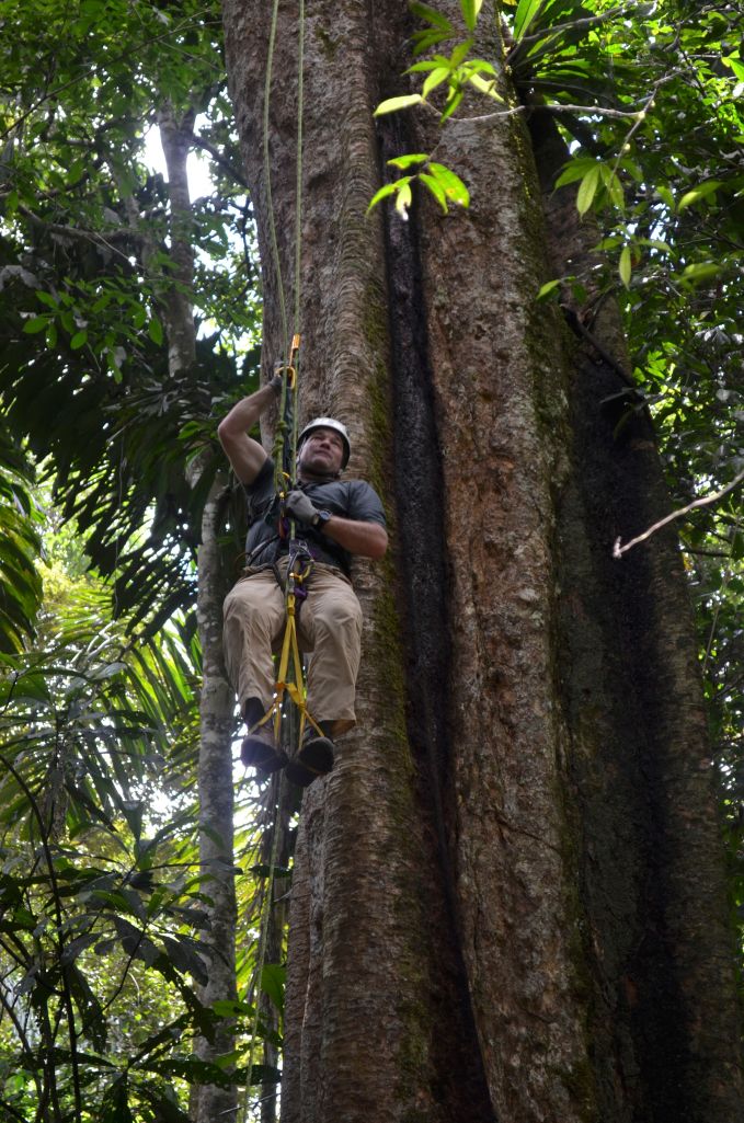 Colburn ascending 35 meters straight up