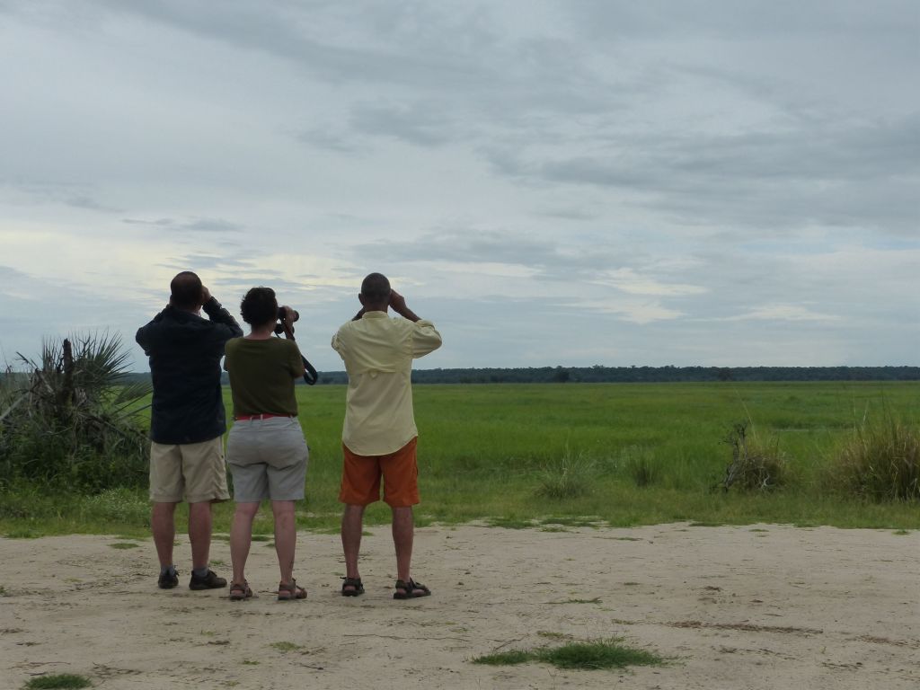 Looking for Wildlife