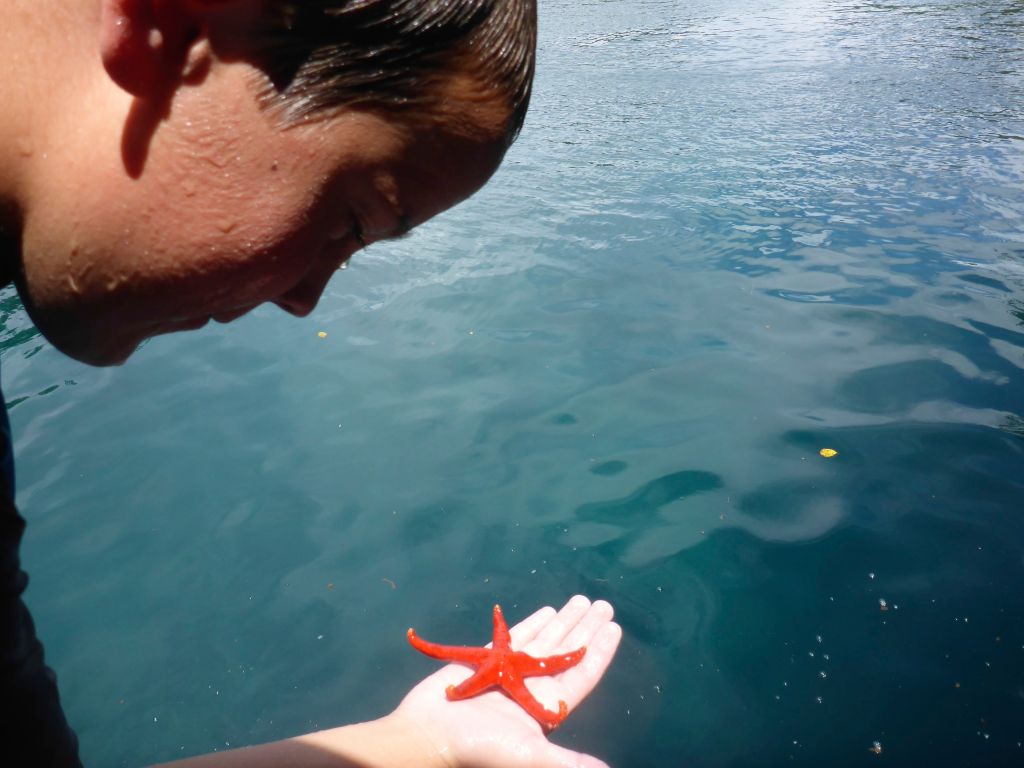 Mac inspecting a tiny sea star