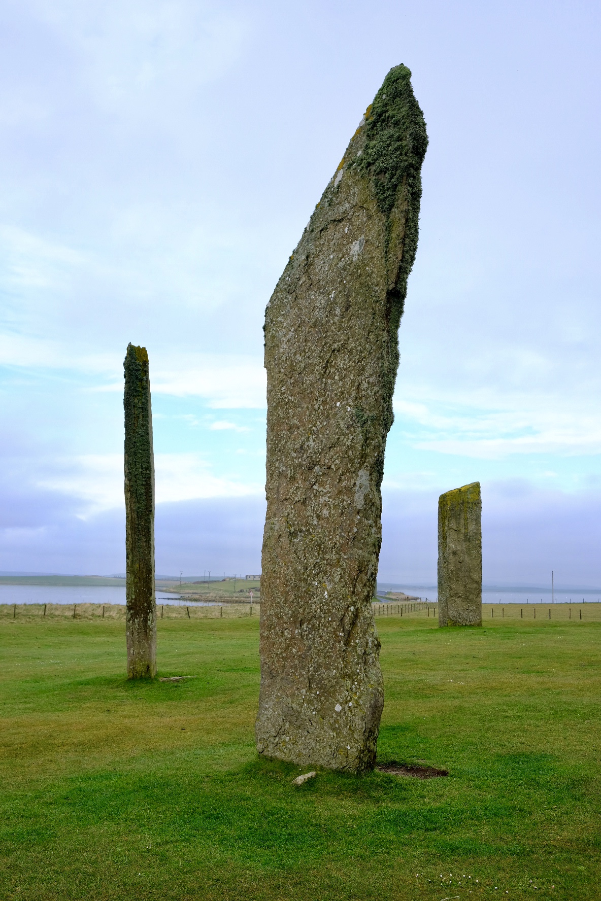 3F0074D6-C461-4C64-8D75-A1A5E44931E5-1953-00000167BC5041AE