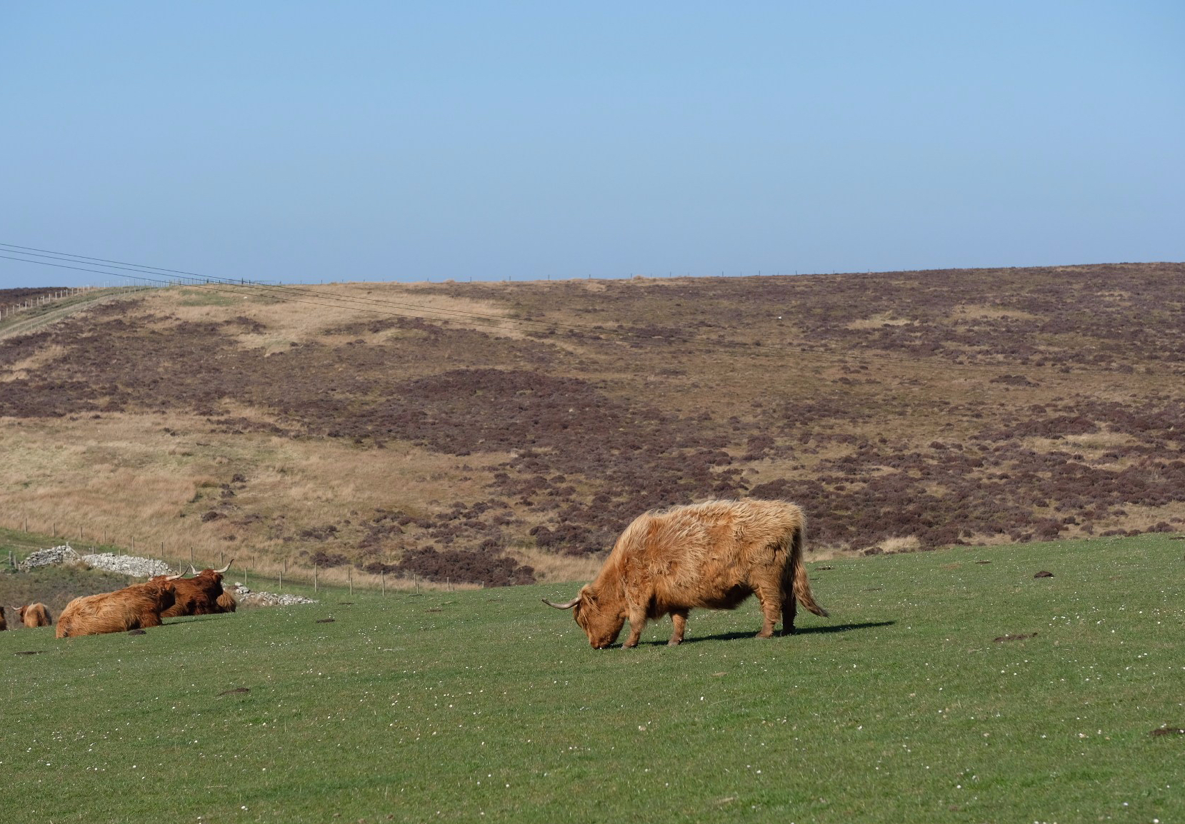 C9E4E39E-3C6E-49DE-A934-6260296A2501-1030-000000790D9B701A