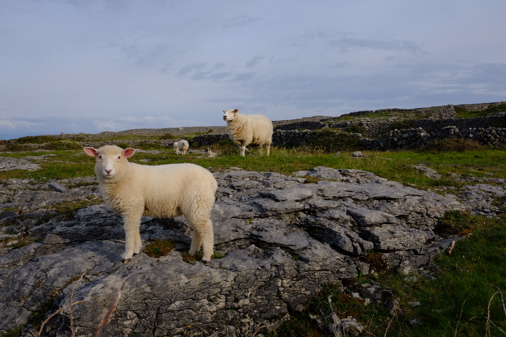 527B6FC7-5F1E-45A6-B7B0-261B3D6912AD-216-0000000126DD4871