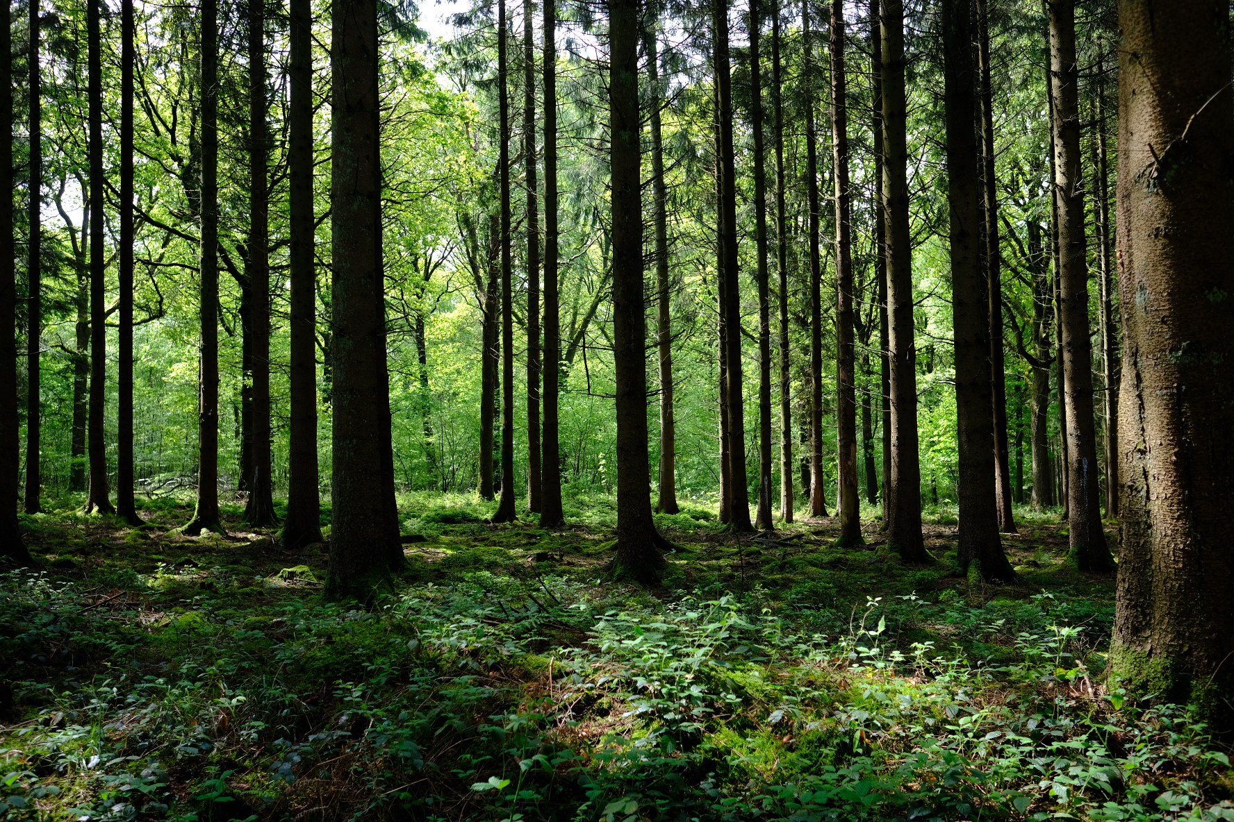 8035FF66-ABD5-46EC-A151-7A07A5A4548F-2849-000002C2D048C221